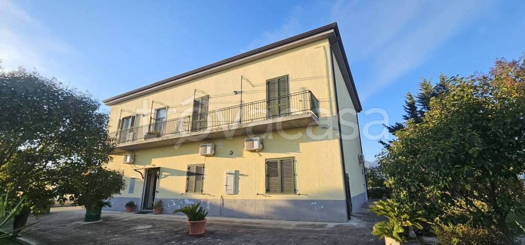 immagine annuncio 13 di 14