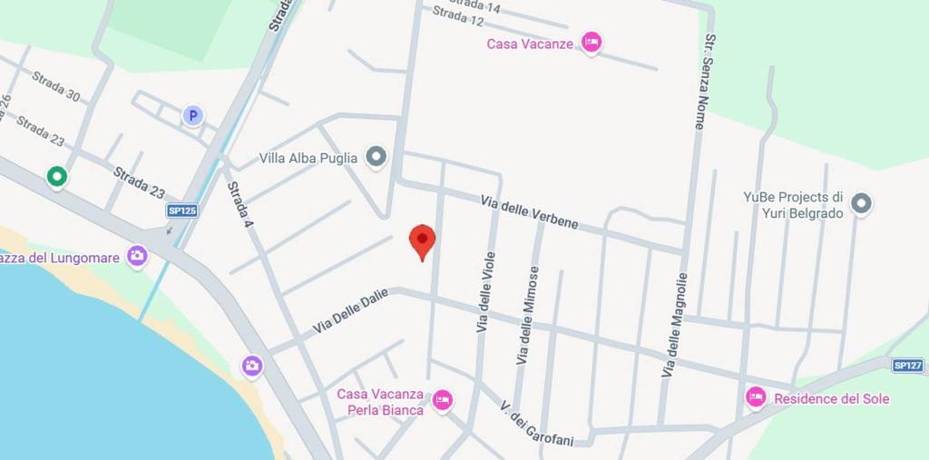 immagine annuncio 3 di 15