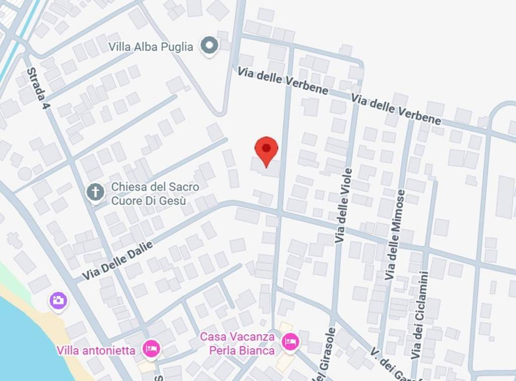 immagine annuncio 12 di 15