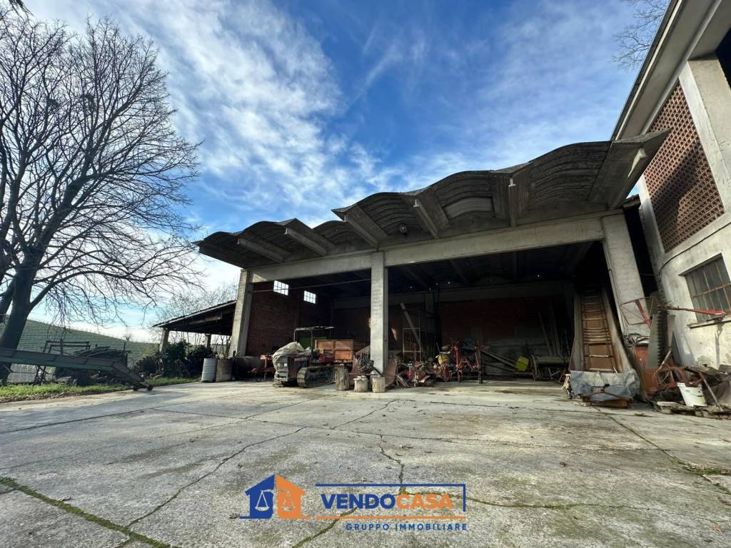 immagine annuncio 12 di 15