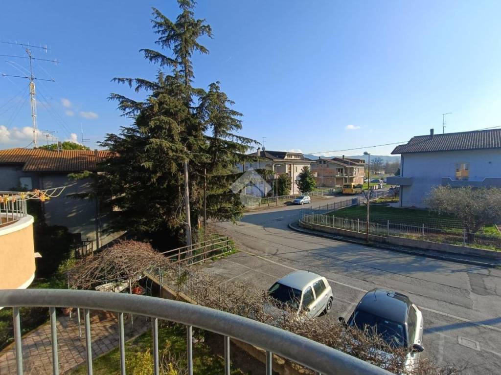 immagine annuncio 5 di 13