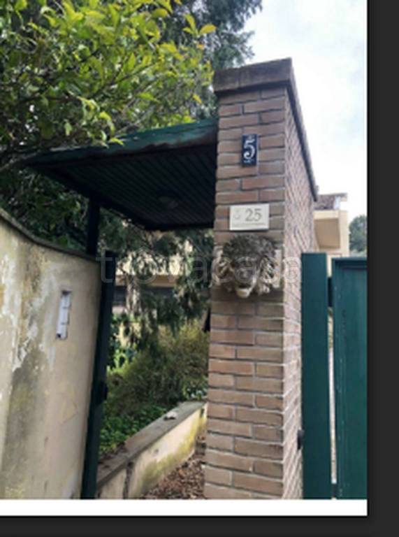 immagine annuncio 3 di 12