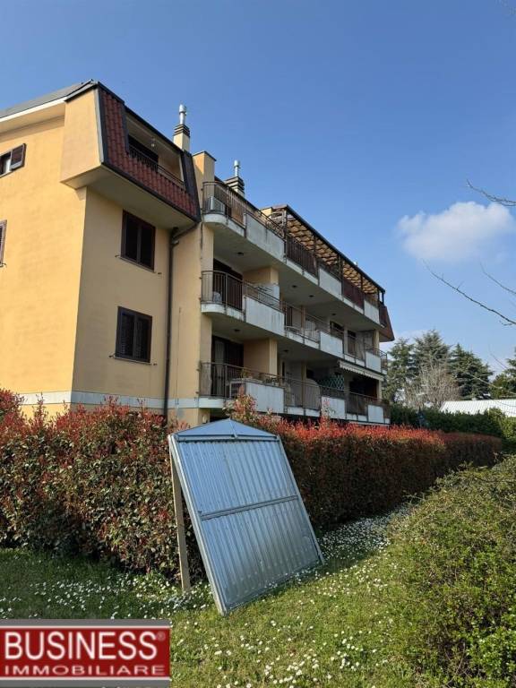 immagine annuncio 1 di 12