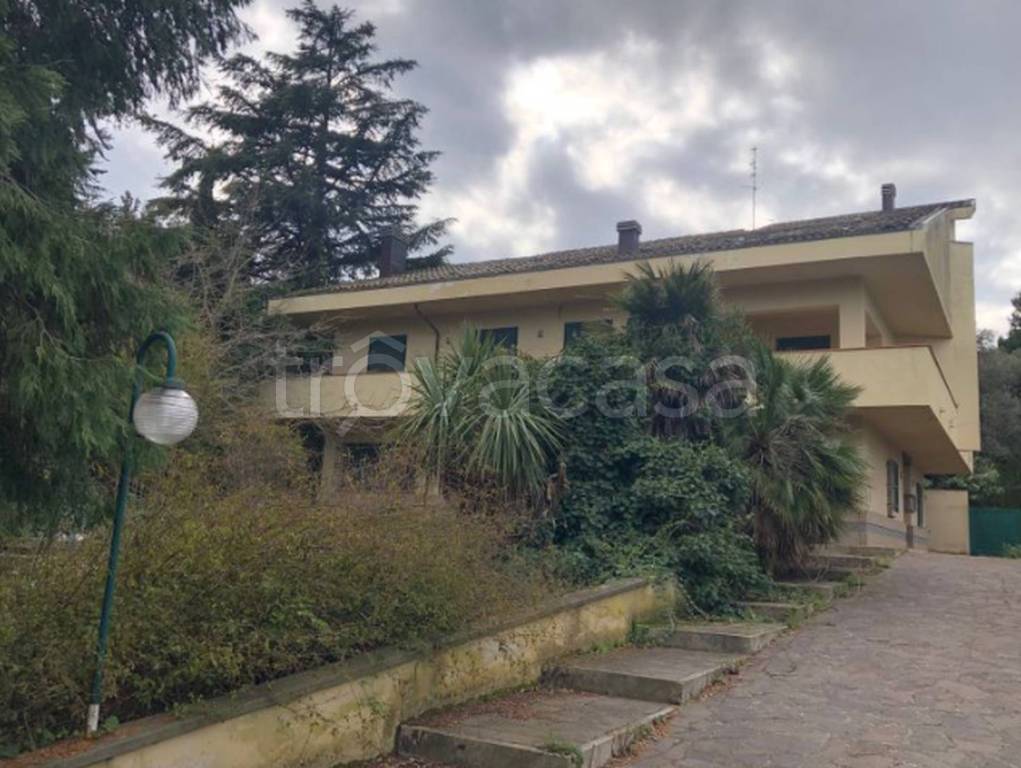 immagine annuncio 9 di 12