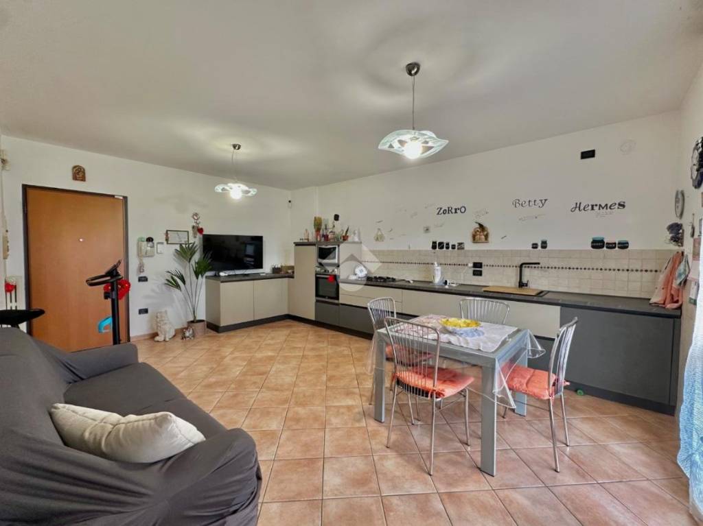 immagine annuncio 1 di 14