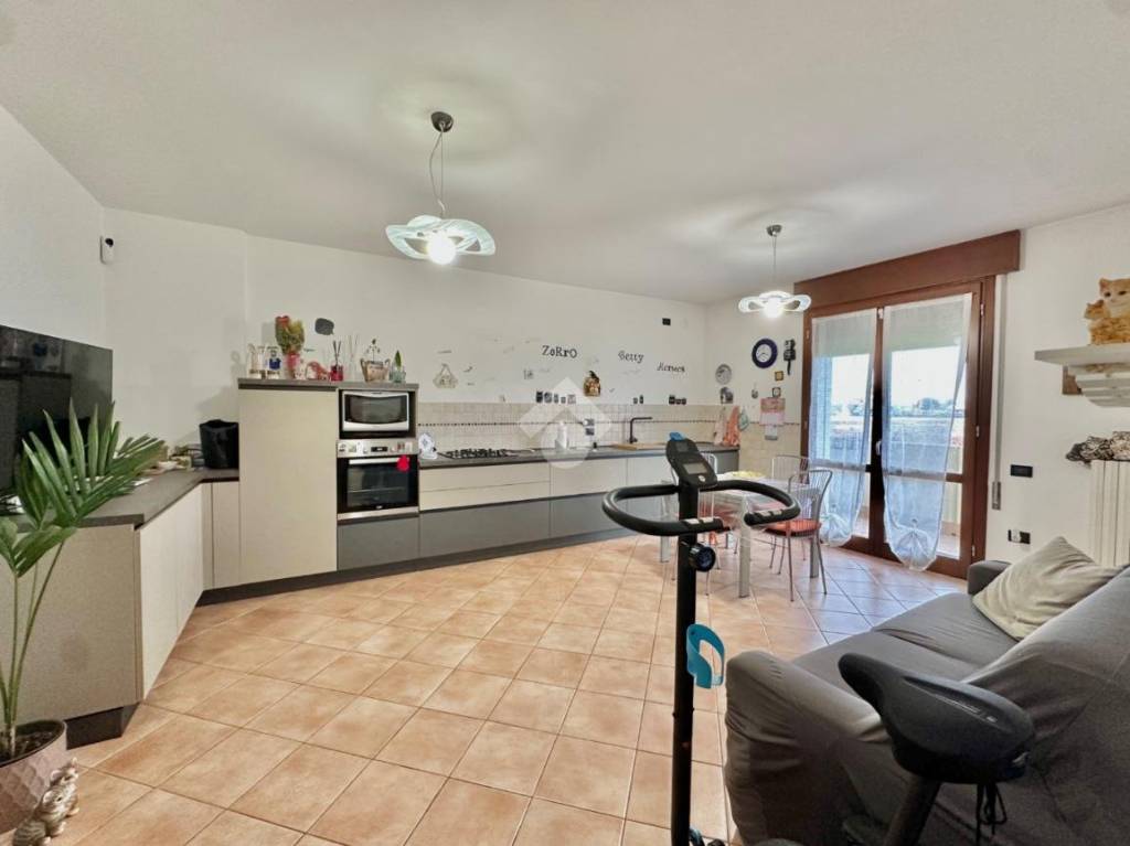 immagine annuncio 2 di 14