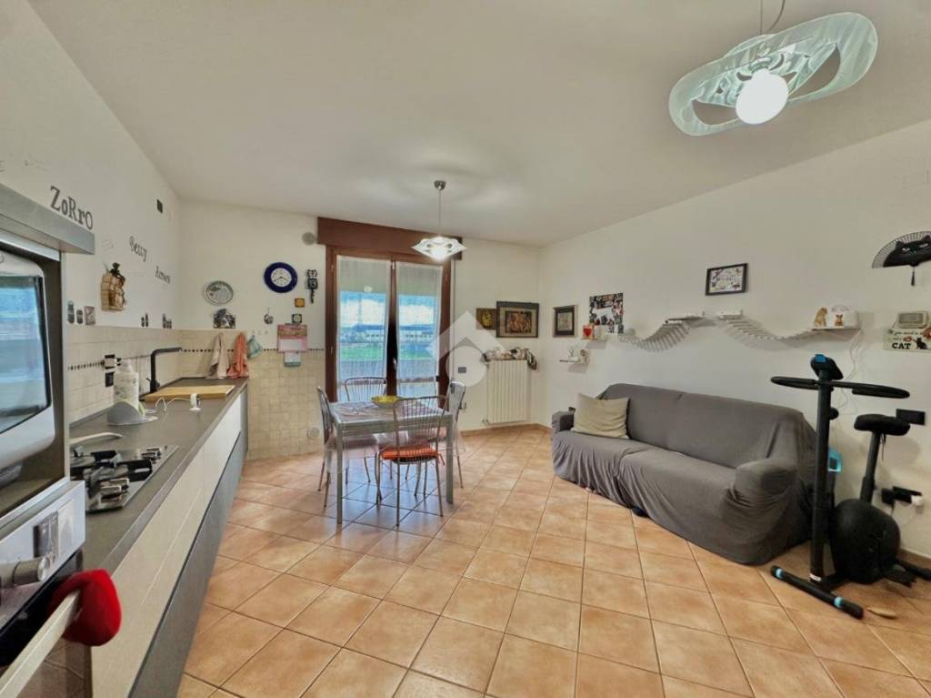 immagine annuncio 3 di 14