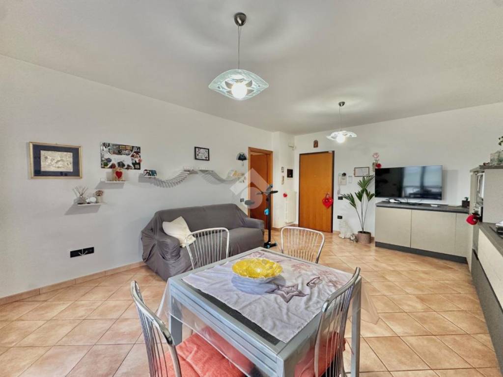 immagine annuncio 4 di 14