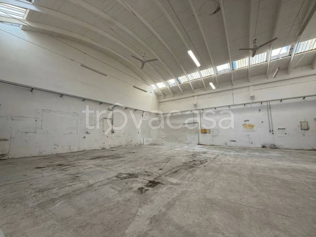 immagine annuncio 1 di 8