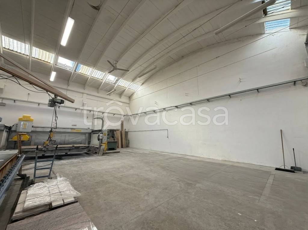 immagine annuncio 3 di 8