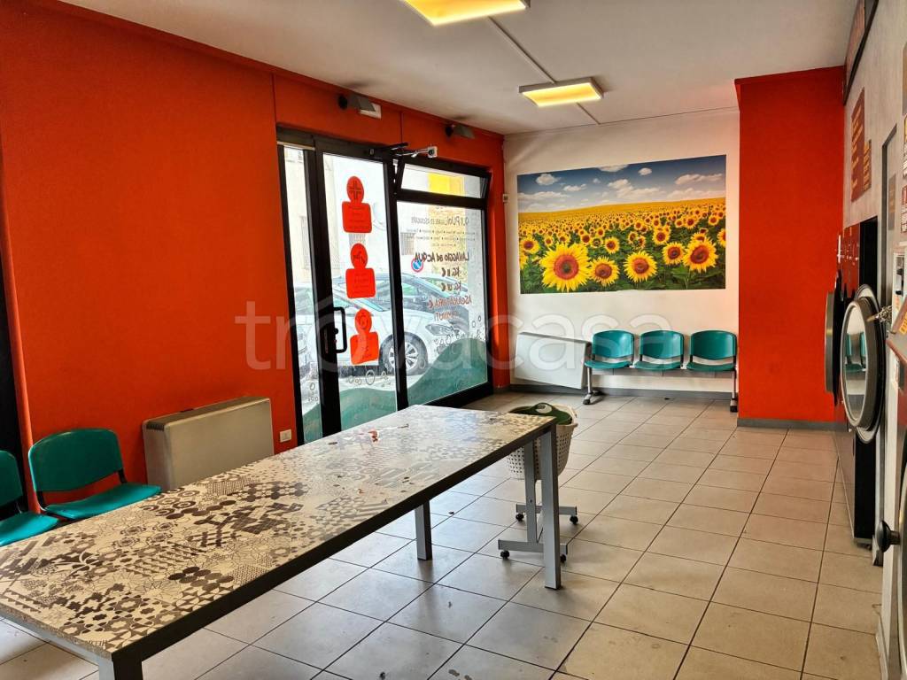 immagine annuncio 6 di 14