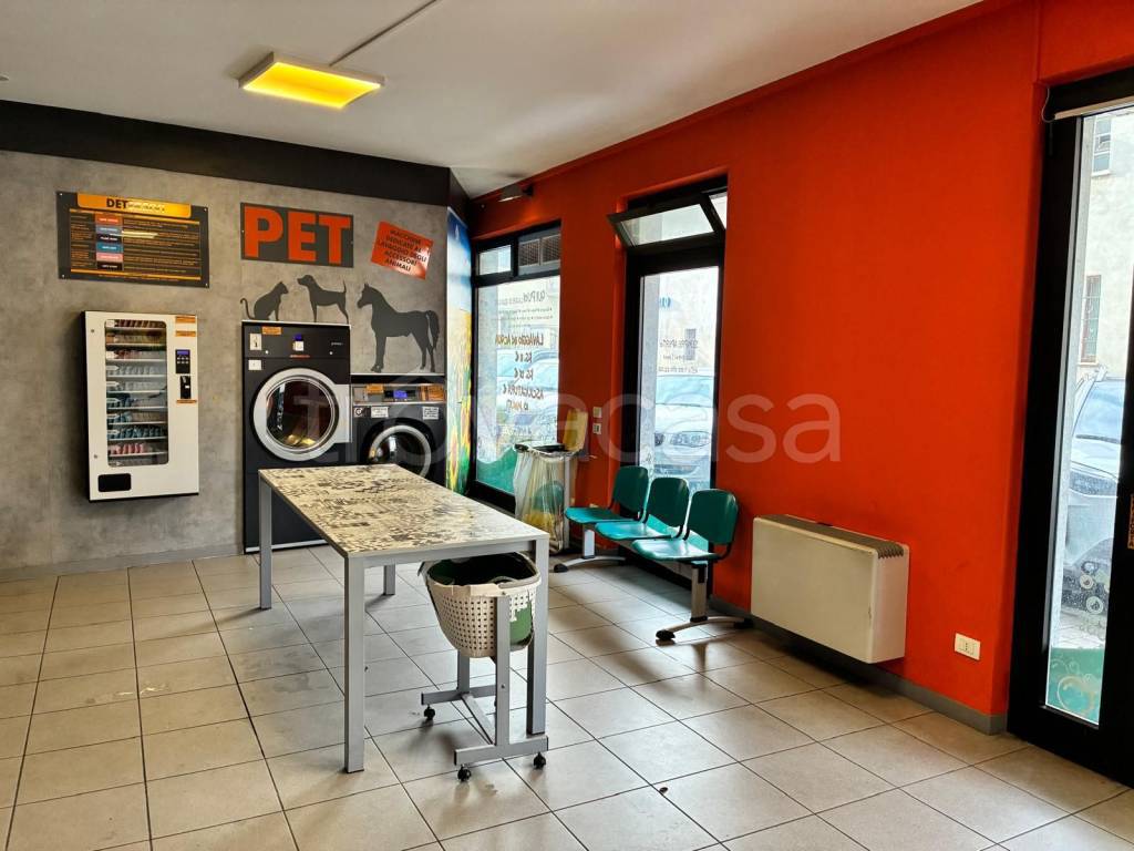 immagine annuncio 7 di 14