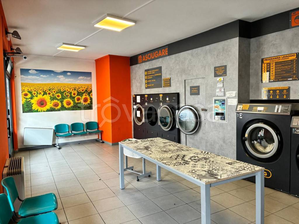 immagine annuncio 10 di 14