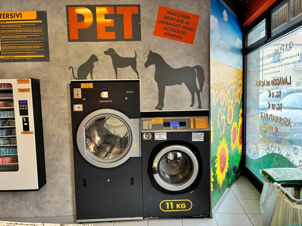 immagine annuncio 11 di 14