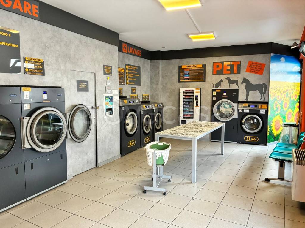 immagine annuncio 1 di 14