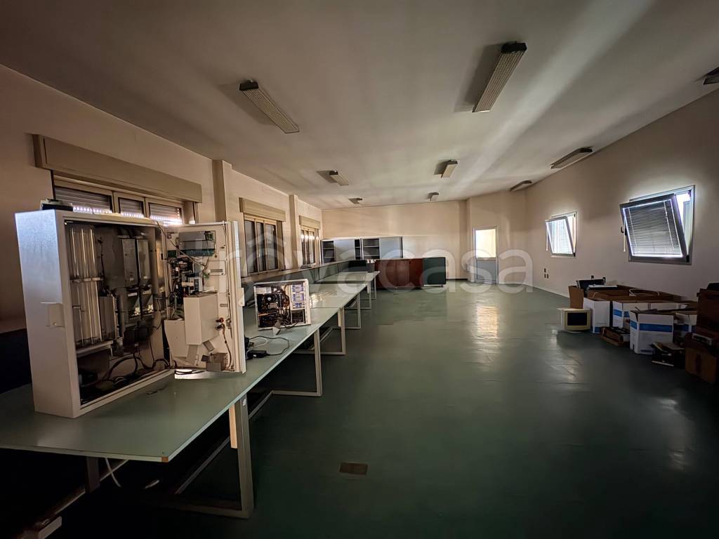 immagine annuncio 7 di 12