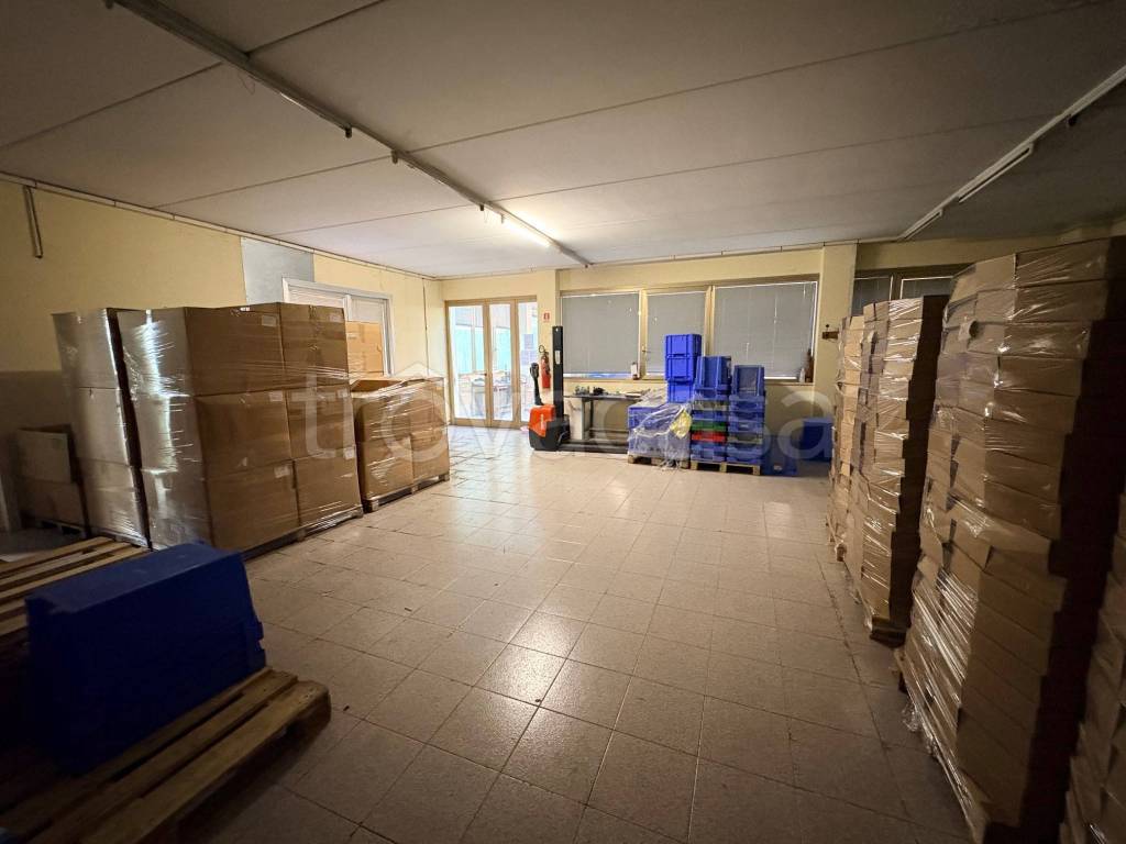 immagine annuncio 8 di 12