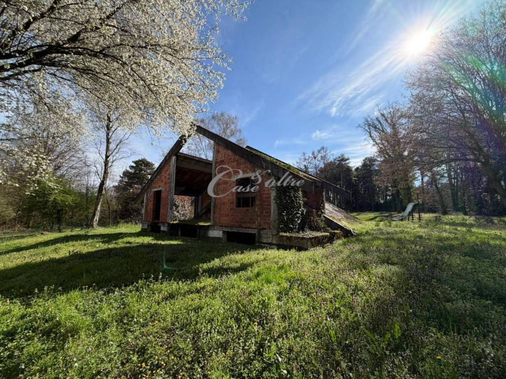 immagine annuncio 9 di 15