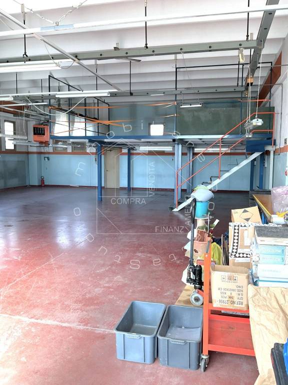 immagine annuncio 8 di 15