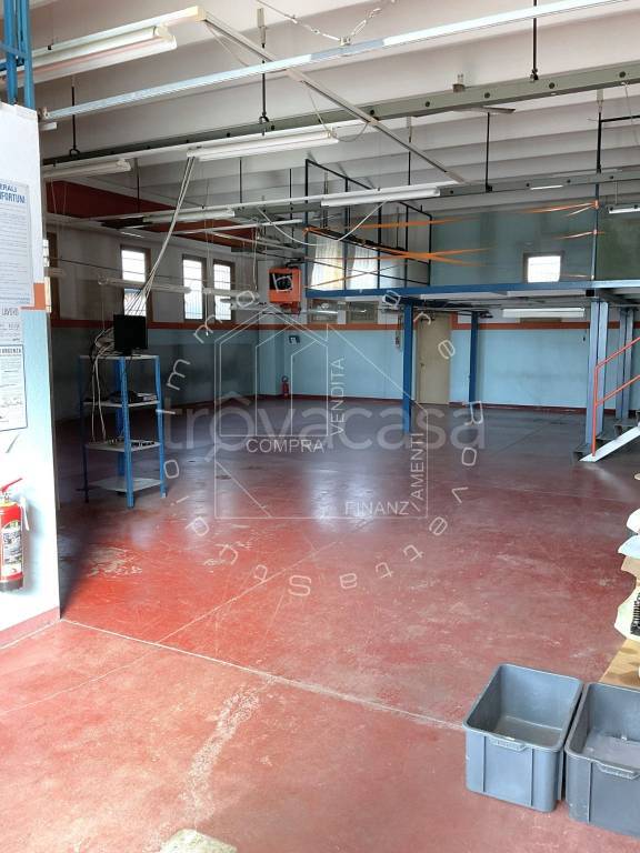 immagine annuncio 6 di 15