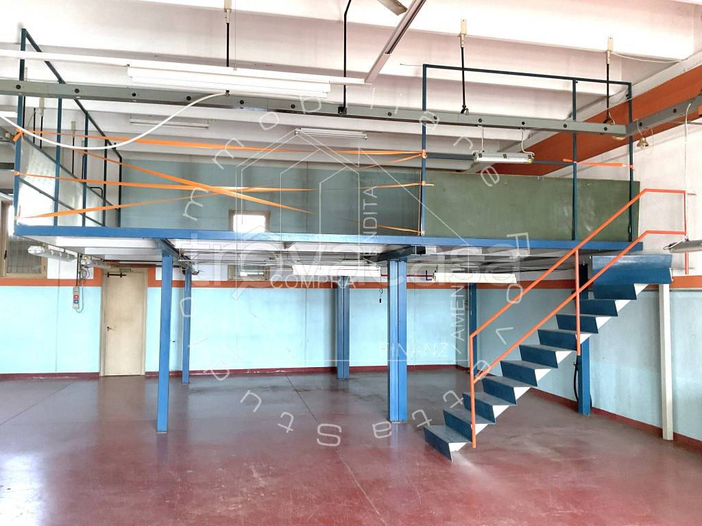 immagine annuncio 5 di 15