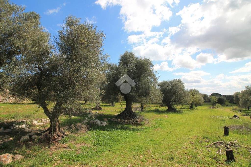 immagine annuncio 4 di 9