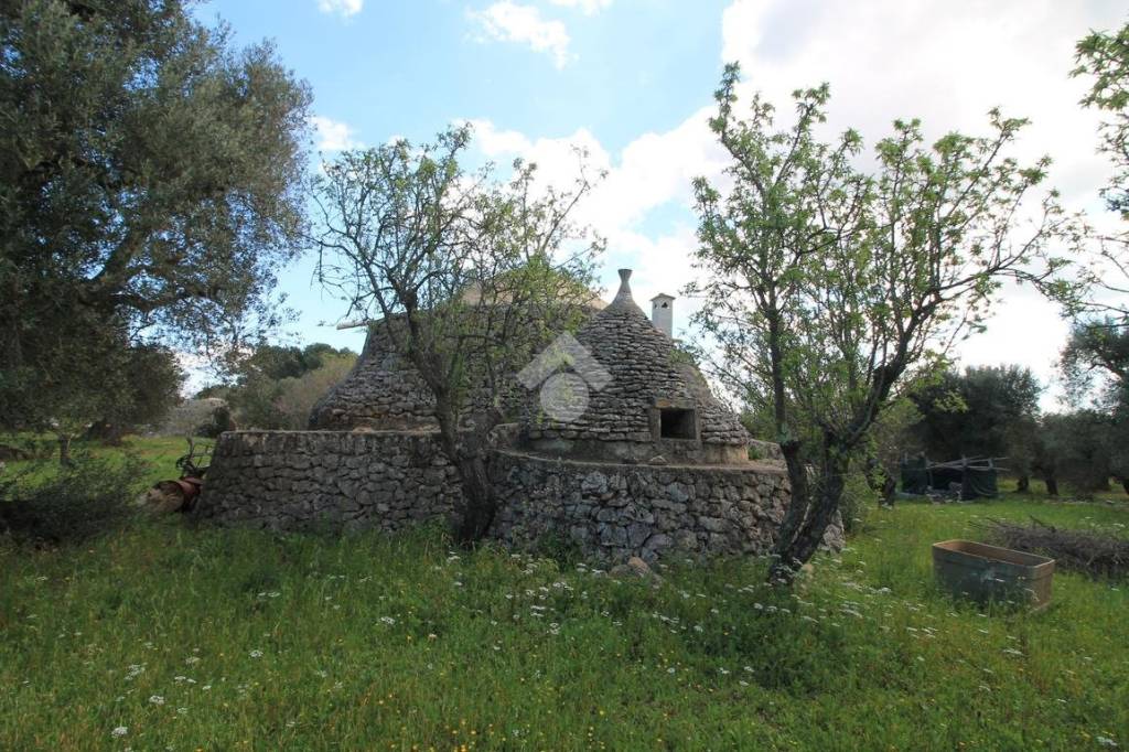 immagine annuncio 5 di 9