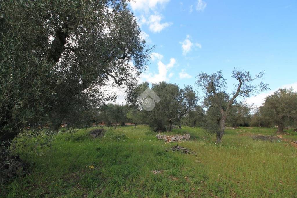 immagine annuncio 6 di 9