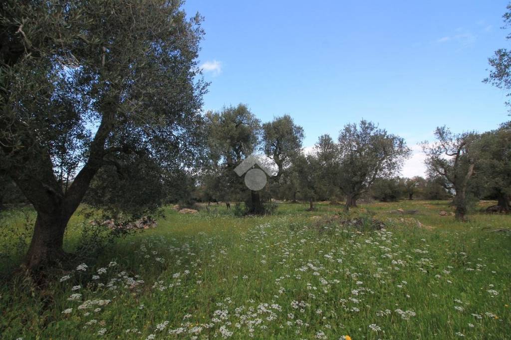 immagine annuncio 8 di 9