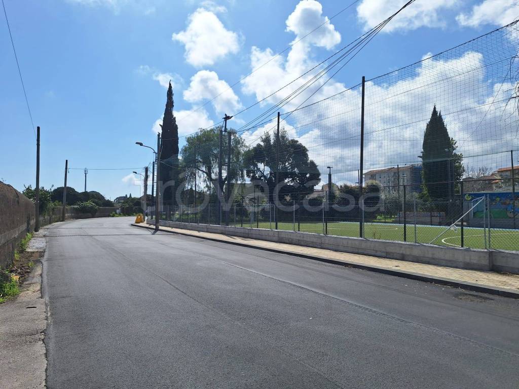 immagine annuncio 6 di 7