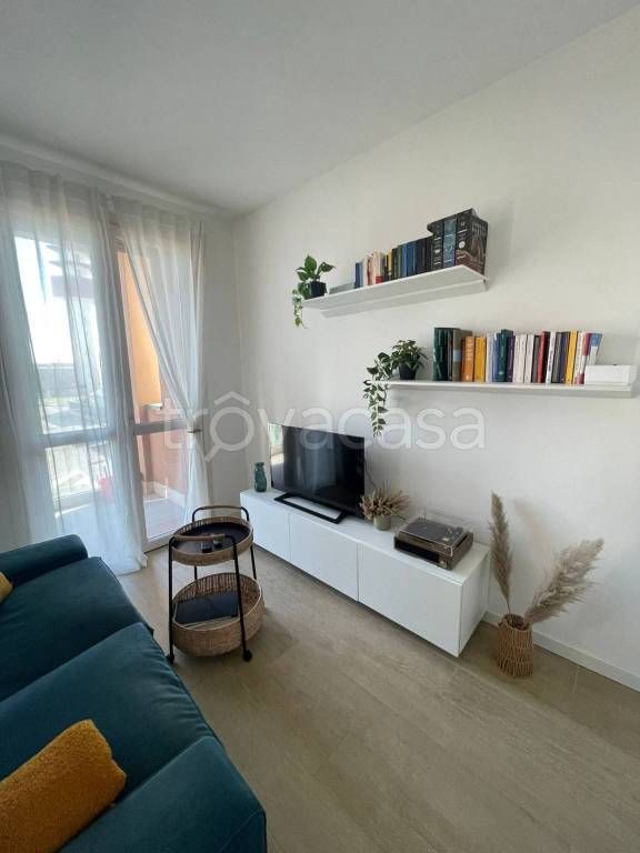 immagine annuncio 11 di 15