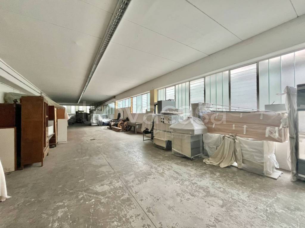 immagine annuncio 10 di 14