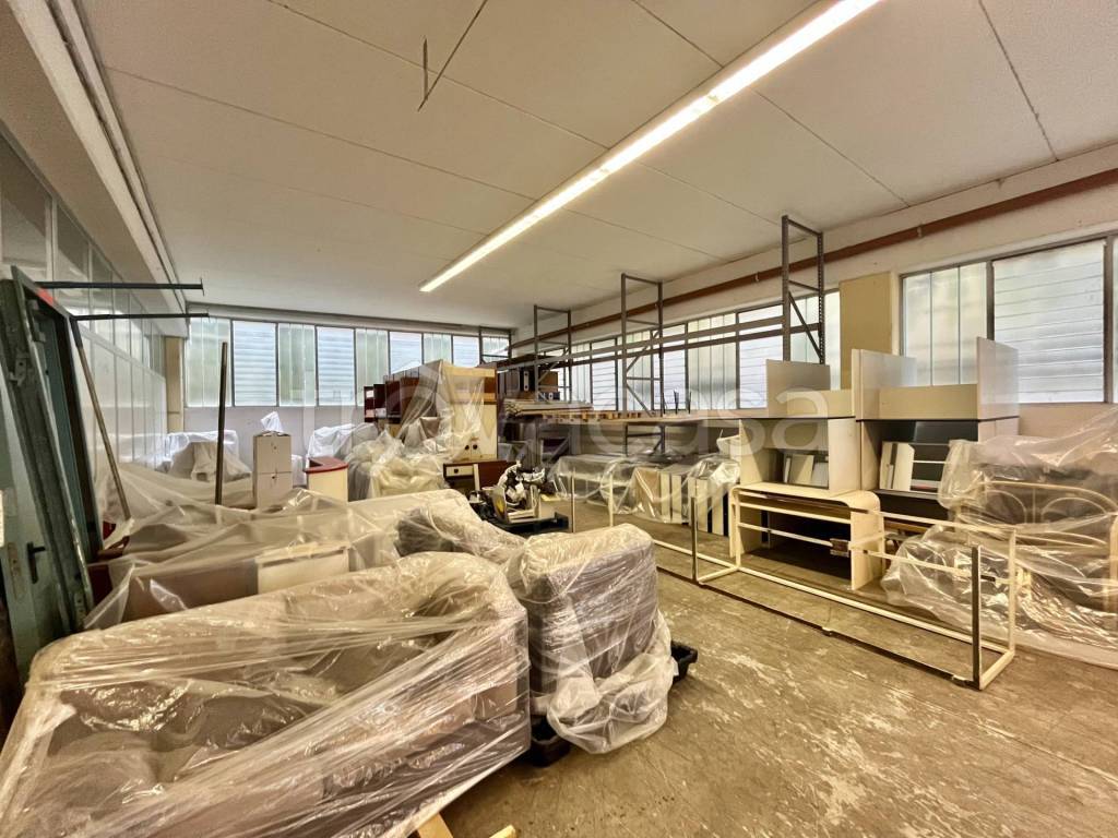 immagine annuncio 11 di 14