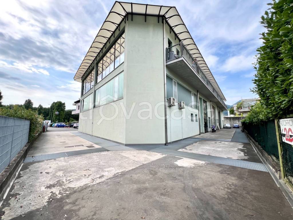 immagine annuncio 2 di 14