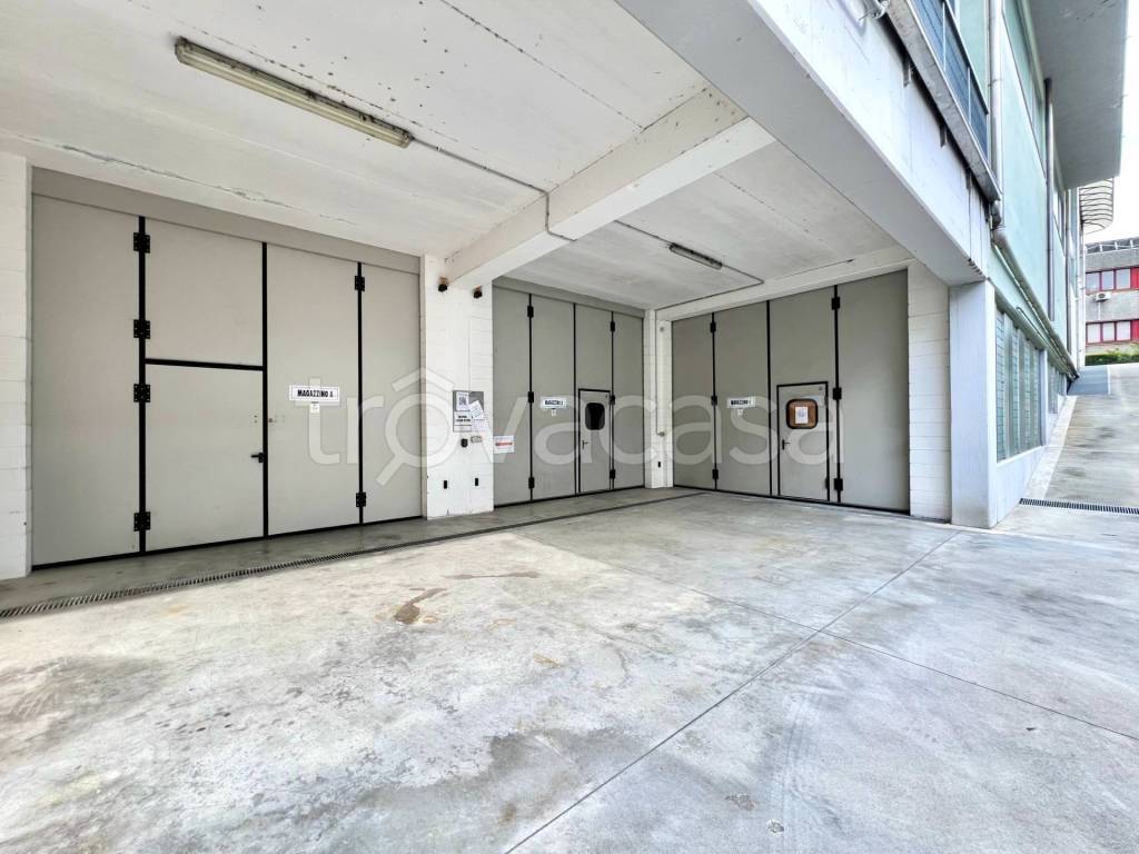 immagine annuncio 6 di 14