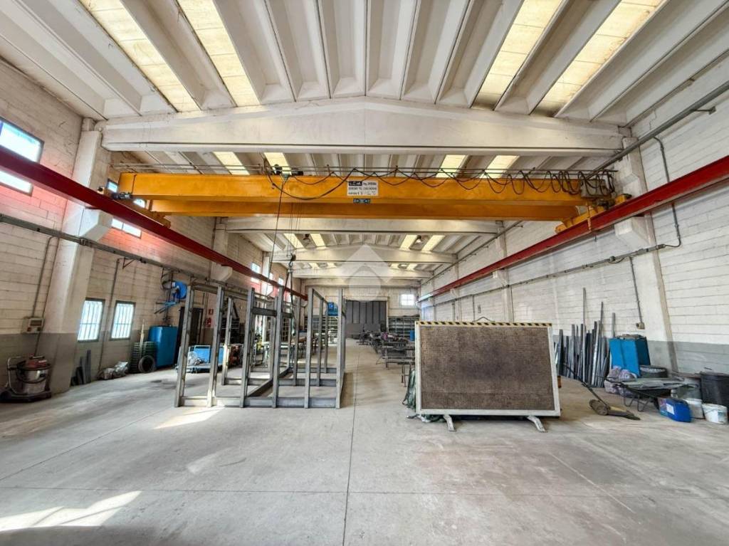 immagine annuncio 1 di 15