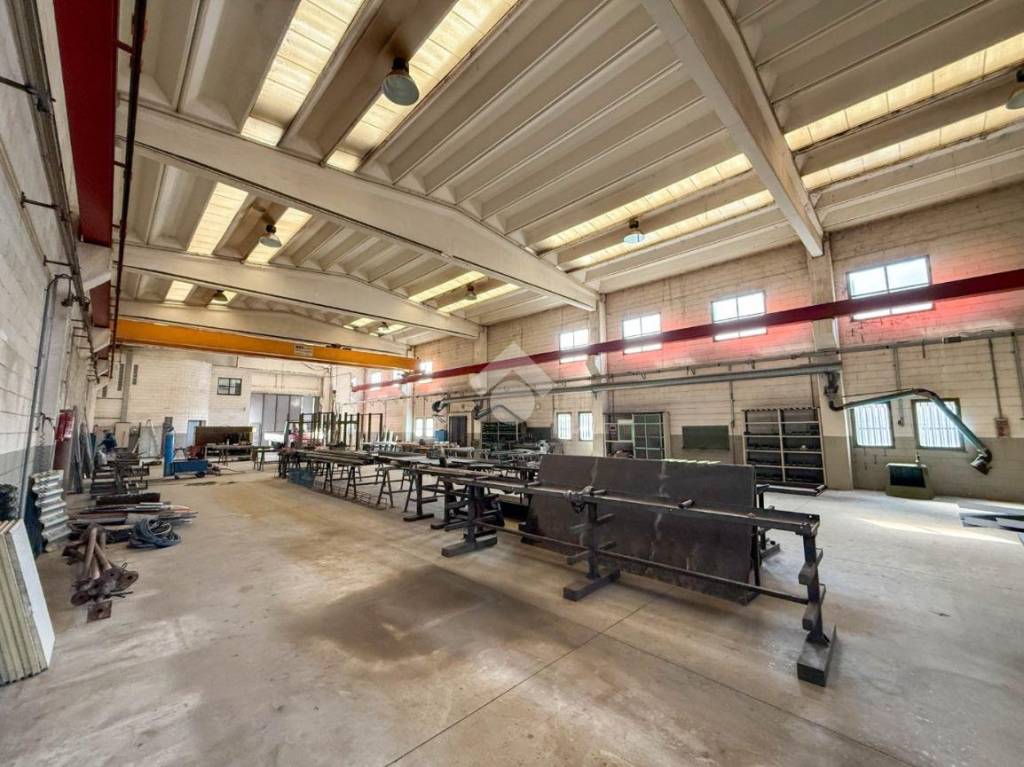 immagine annuncio 5 di 15