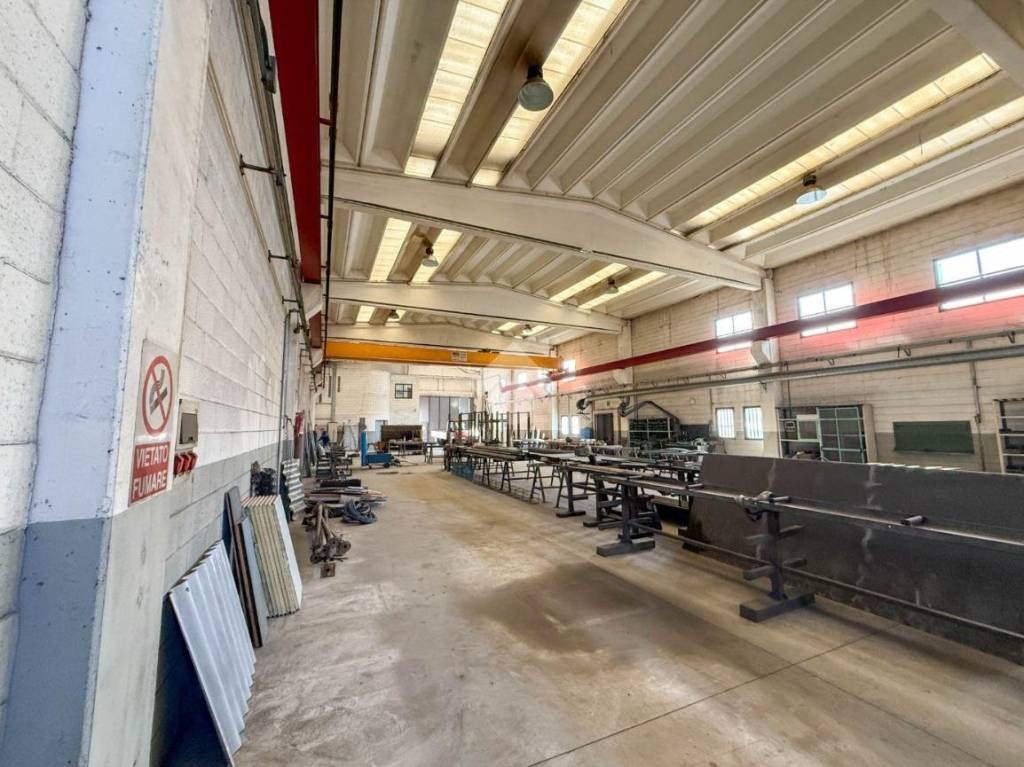 immagine annuncio 6 di 15