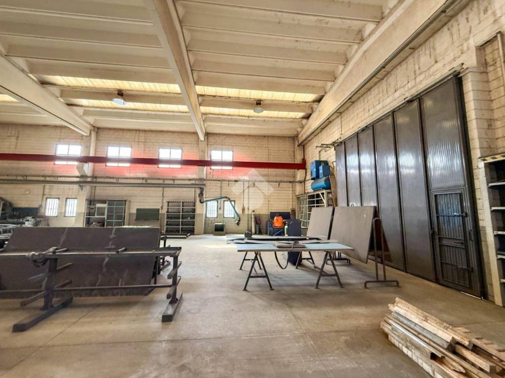 immagine annuncio 12 di 15