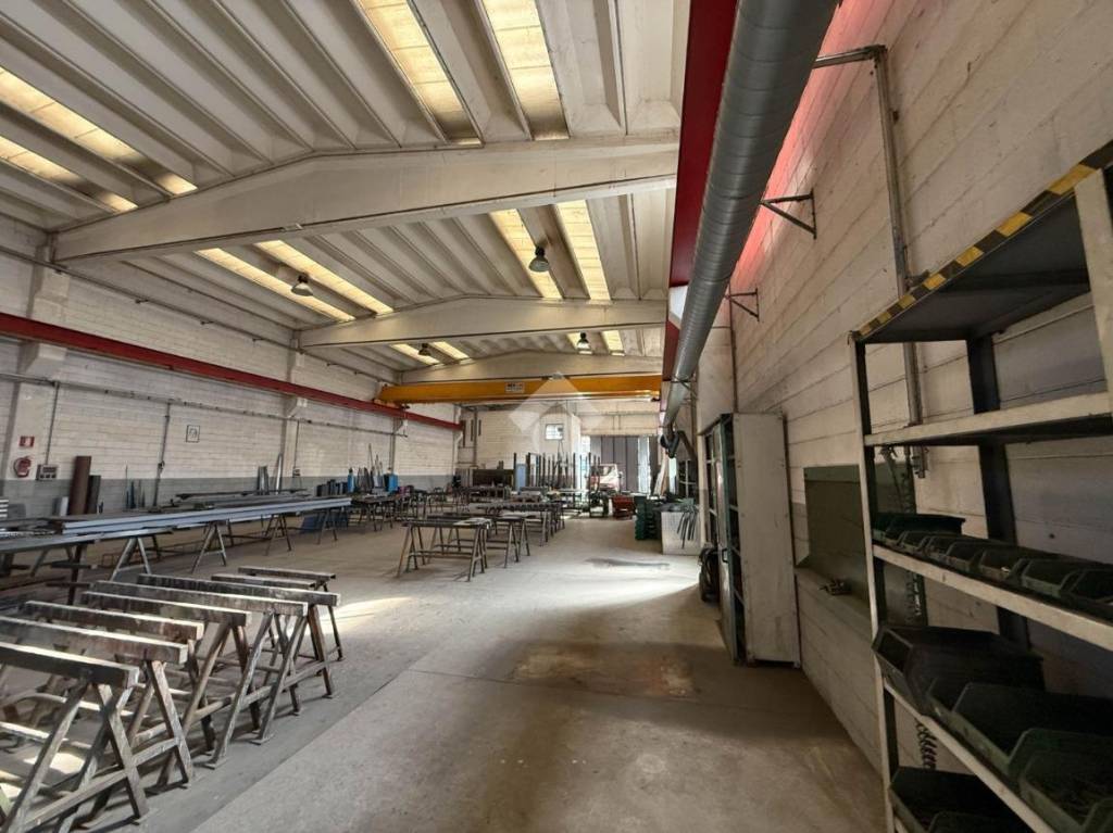 immagine annuncio 14 di 15