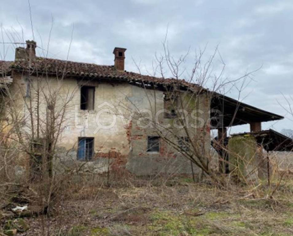 immagine annuncio 2 di 11