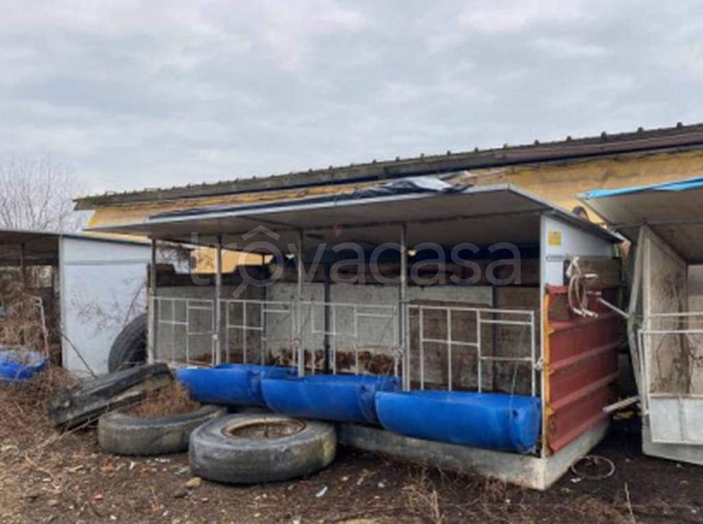 immagine annuncio 4 di 11