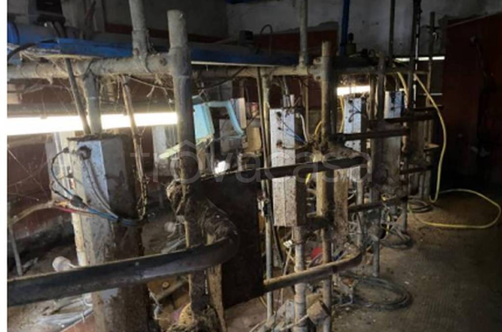 immagine annuncio 5 di 11