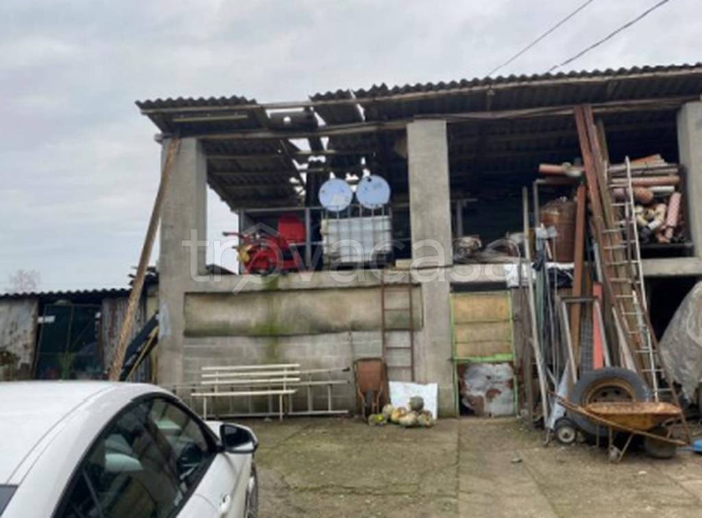 immagine annuncio 6 di 11