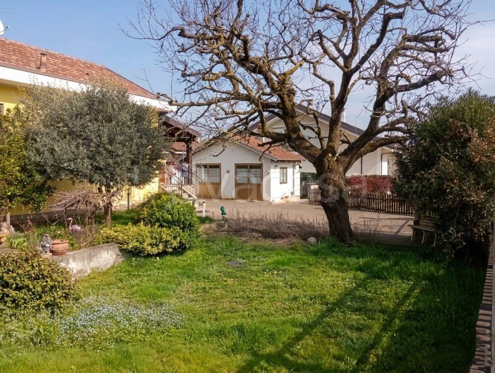 immagine annuncio 7 di 15