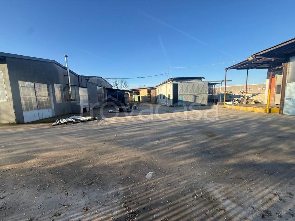 immagine annuncio 5 di 15