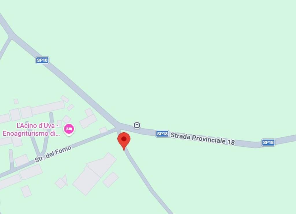 immagine annuncio 3 di 12
