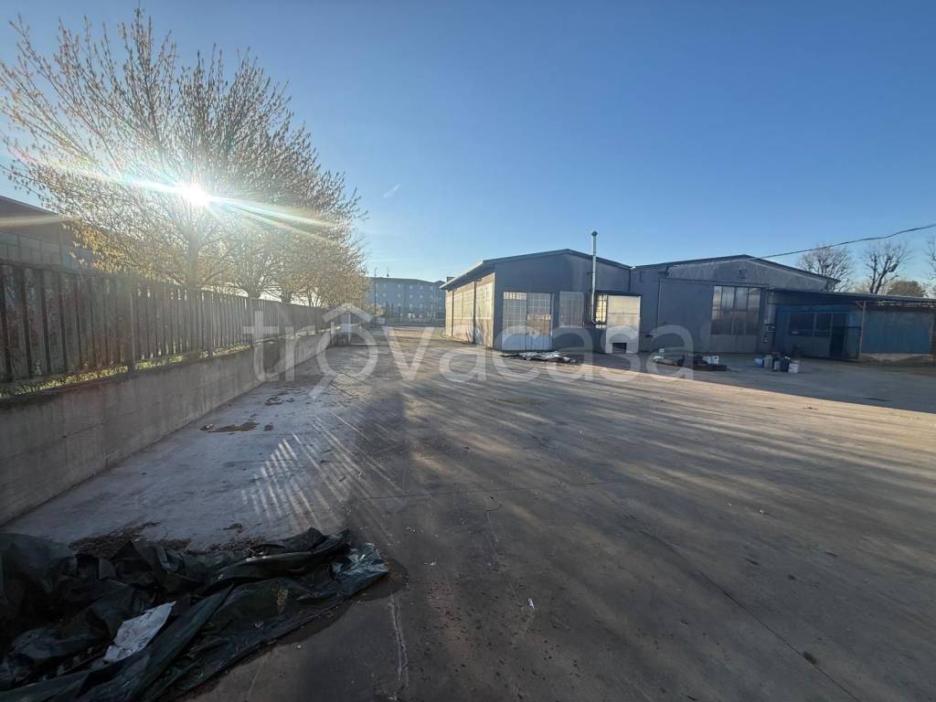 immagine annuncio 6 di 15