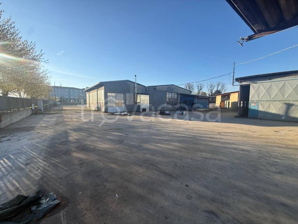 immagine annuncio 7 di 15