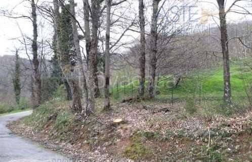 immagine annuncio 10 di 12